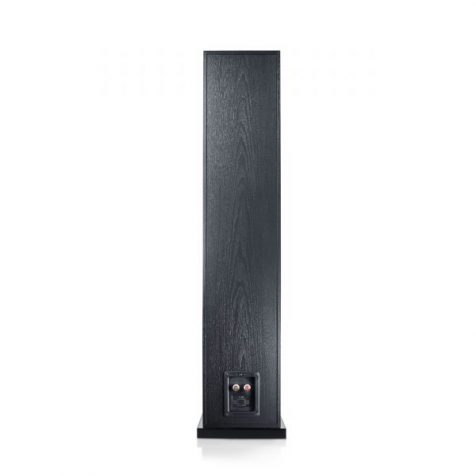 CANTON C 309 FLOOR STAND SPEAKERS (PAIR) | CANTON - Image 3