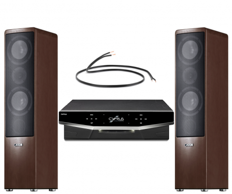 CANTON ERGO 670 / CYRUS LYRIC / 4m x NORSTONE SPEAKER CABLE | RIO HIFI PACKS - Image 2