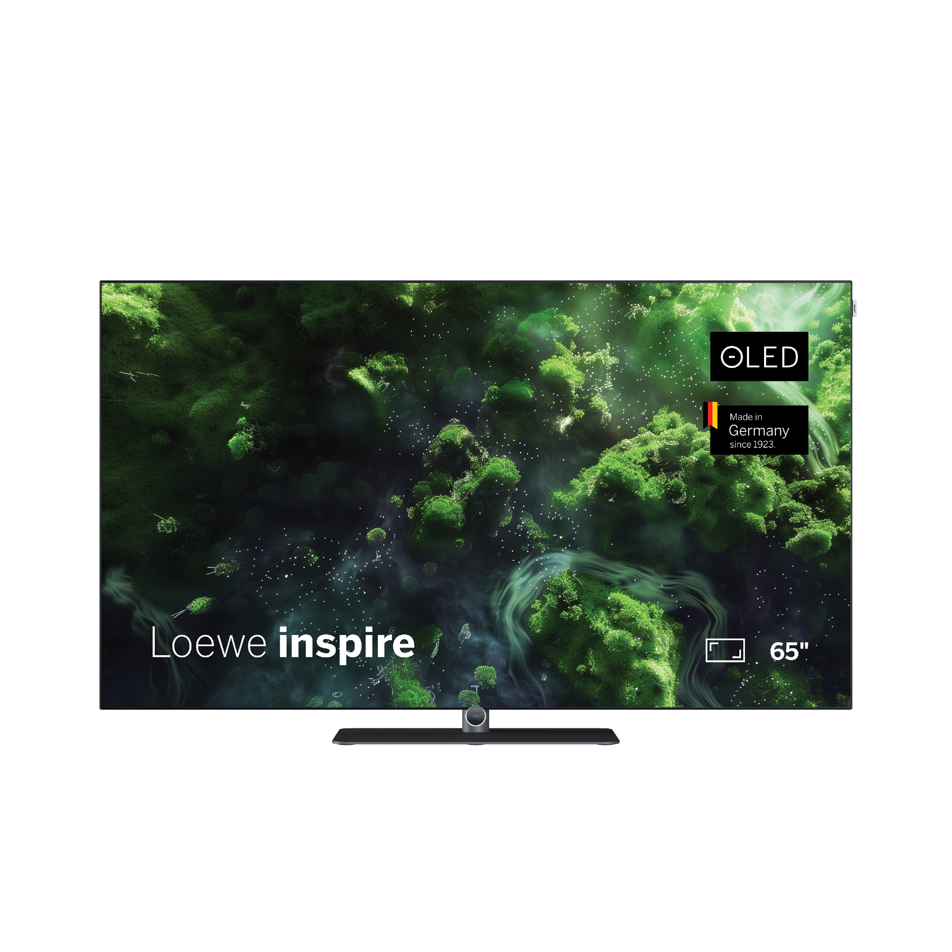loewe 65 oled